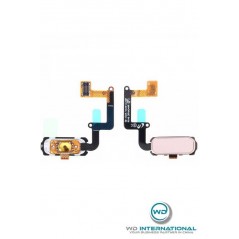 Bouton Home A3/A5/A7 2017 Rose