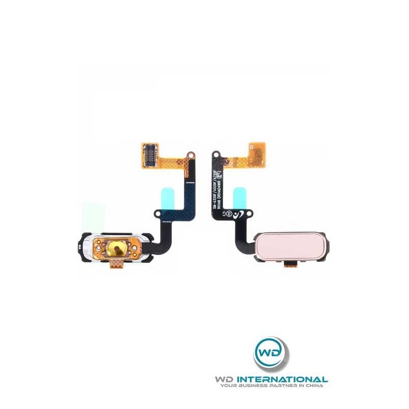 Bouton Home A3/A5/A7 2017 Rose