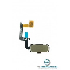 Bouton Home A3/A5/A7 2017 Or