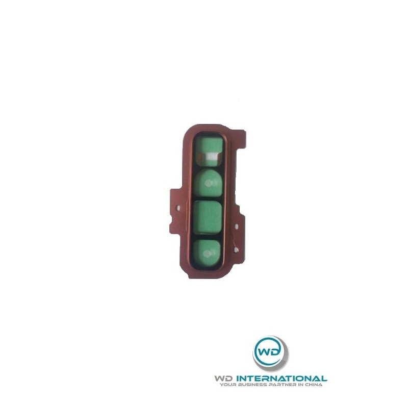 Lentille camera Samsung S10+ Rose