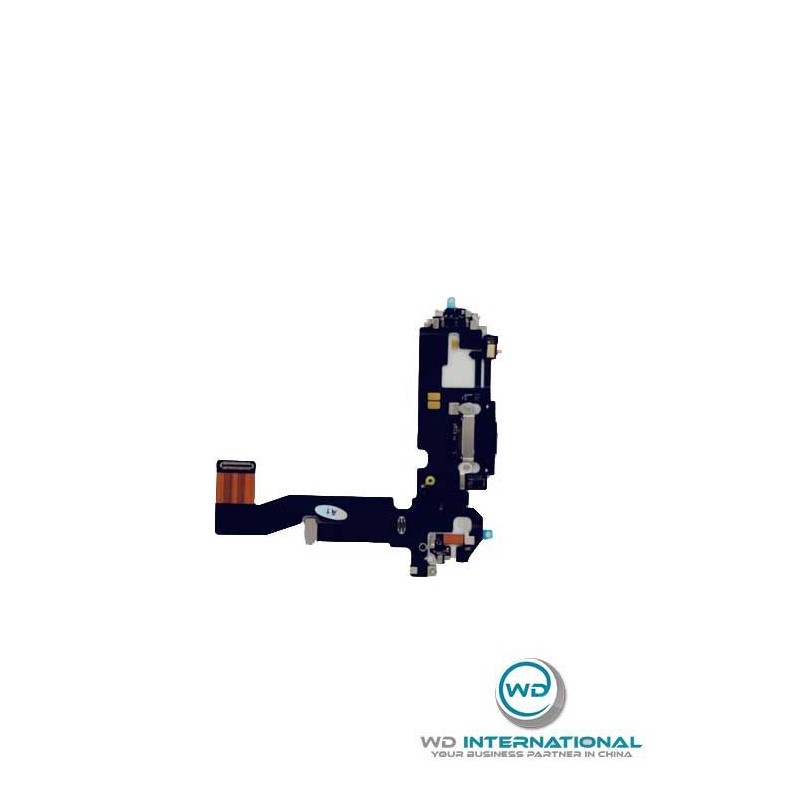 Conector de carga negro iPhone12