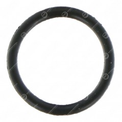 IPhone 11 Rückkamera Dichtung Schwarz (100 Stück)