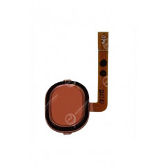 Nappe Capteur d'Empreintes Samsung Galaxy A40 Corail (SM-A405) Service Pack