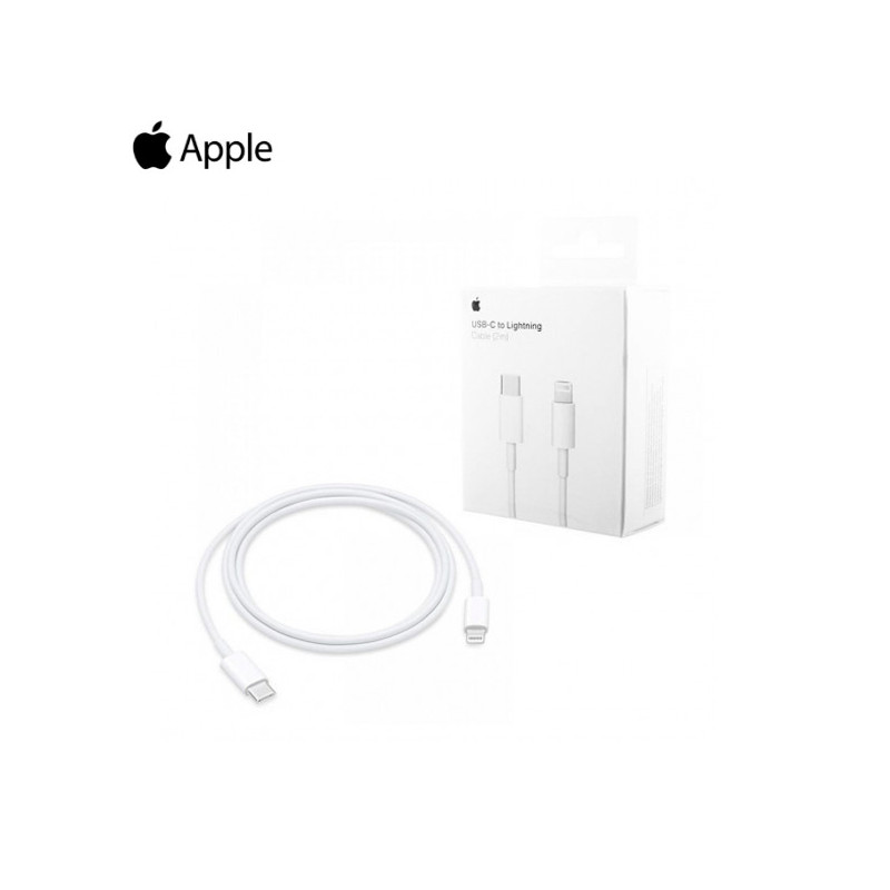 Cable Type-C vers Lightning Apple A1702 2m