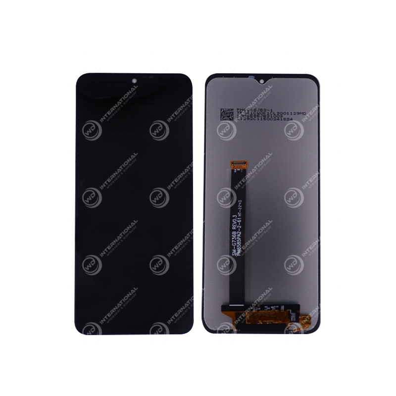 Ecran Samsung Galaxy XCover 6 Pro (SM-G736) Noir Sans Chassis