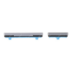 Pulsante Volume Power Samsung Galaxy Note 10/Note 10 5G Argento (2pcs)