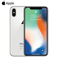 Telefono iPhone X 256GB Argento Grado B